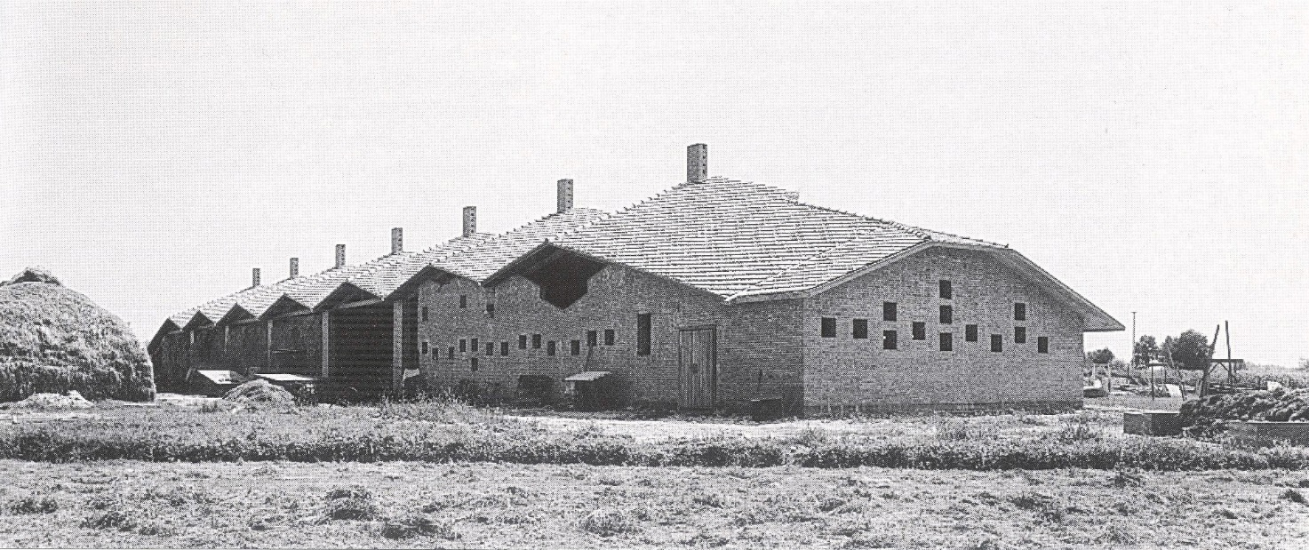 C:\Documenti_gius\21 - CENTRI COMUNITARI e IRUR\Centri Comunitari e I-Rur\Foto\Cooperativa Agricola di Montalenghe - La stalla.jpg